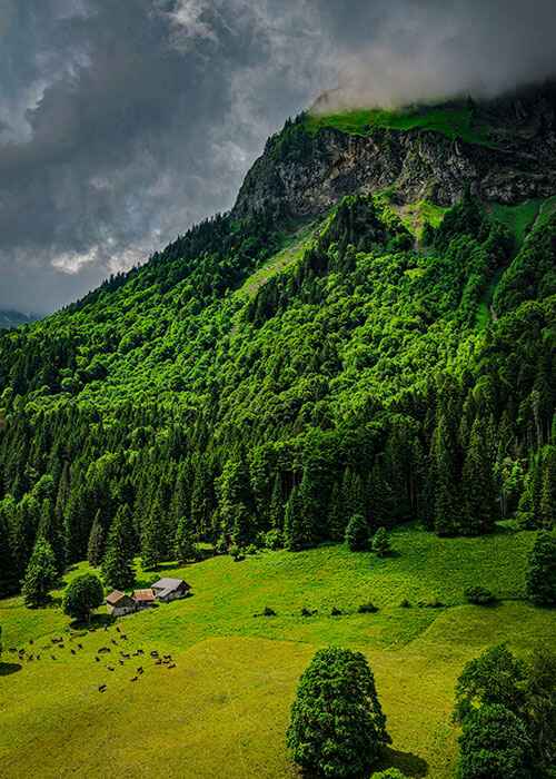 Pompage de Fosse septique au Grand-Bornand, à Faverges, Thônes, La clusaz,Manigod, Serraval, Le bouchet-Mont-charvin, Alex, La Balme de thuy, Dingy-st-clair, st-jean de sixt et partout dans les aravis