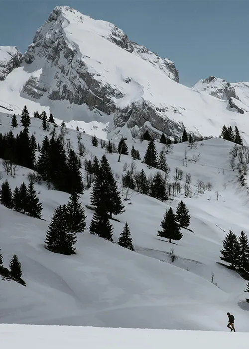 Beber Fosse Net Qui sommes-nous ?